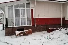 WhatsApp-Image-2022-01-25-at-12.47.48-2
